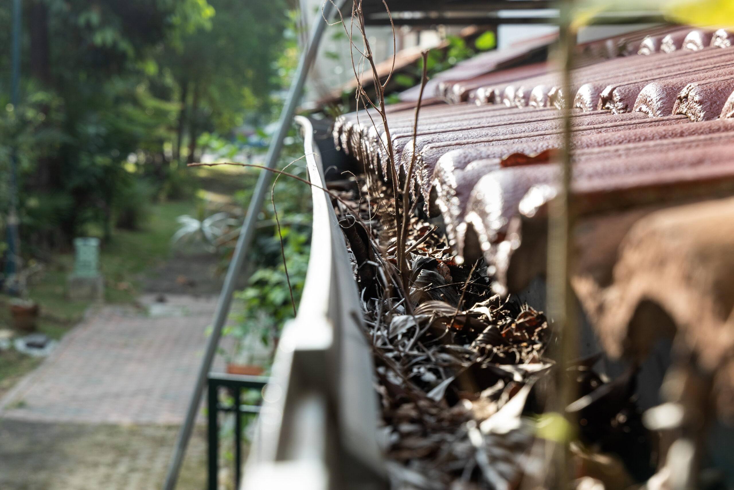 Read more about the article Fall Gutter Cleaning: Preparing Your Home for Rainy Weather